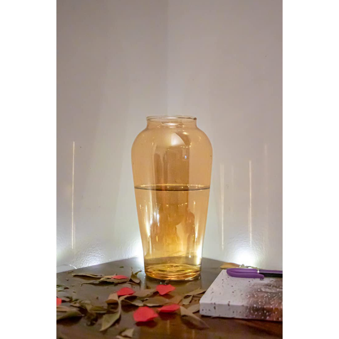 Glass Flower Pot – Crystal Clear Long Glass Vase for Home, Room, Office Décor (8×4.5 inch)