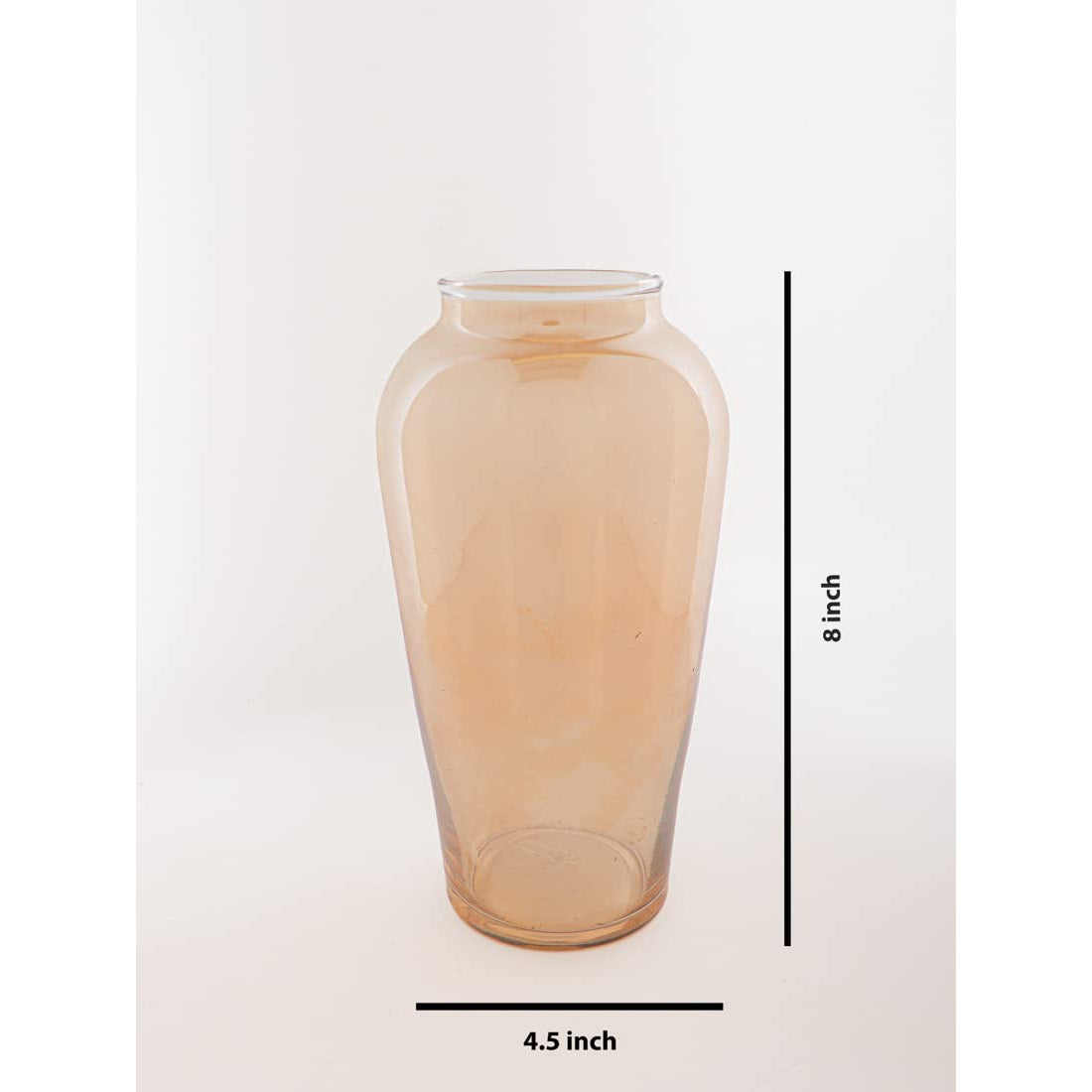 Glass Flower Pot – Crystal Clear Long Glass Vase for Home, Room, Office Décor (8×4.5 inch)