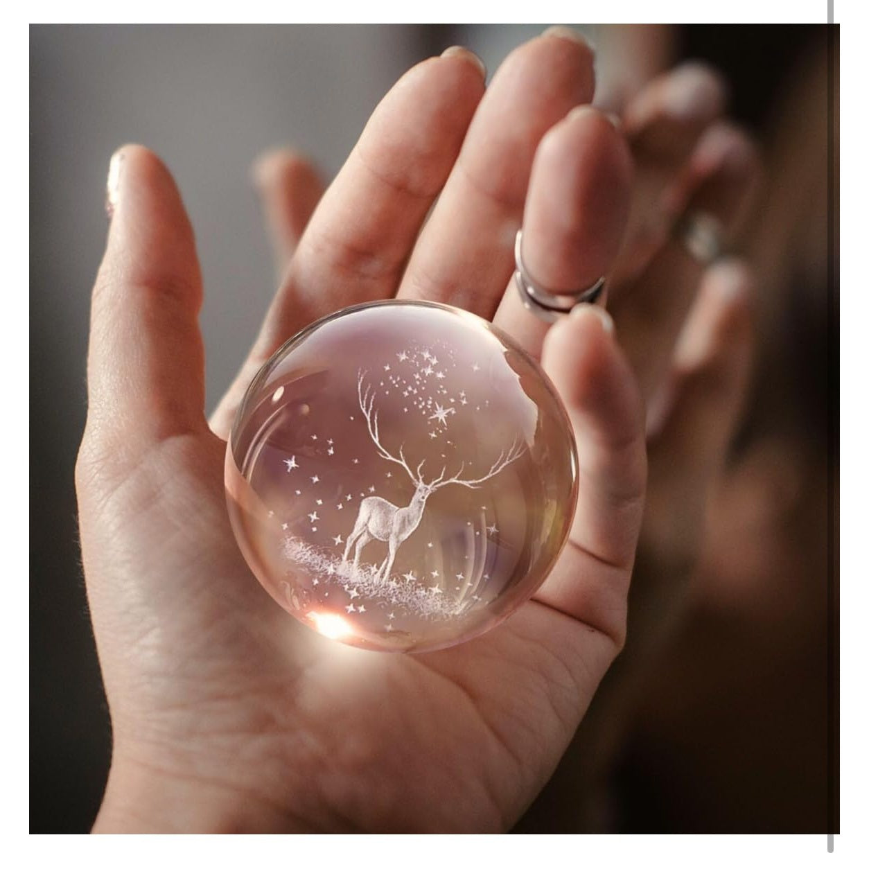 Light of Wonder – 3D Crystal Ball Dolphin/Deer Lamp | A Symbol of Magic, Warmth & Dreamlike Inspiration