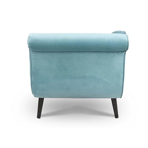 Comfort & Trendy Rosewood 2-Seater Modern Classic Settee Chaise Lounge with Pillow – Blissful Casa (Light Blue Kulfi, Large)